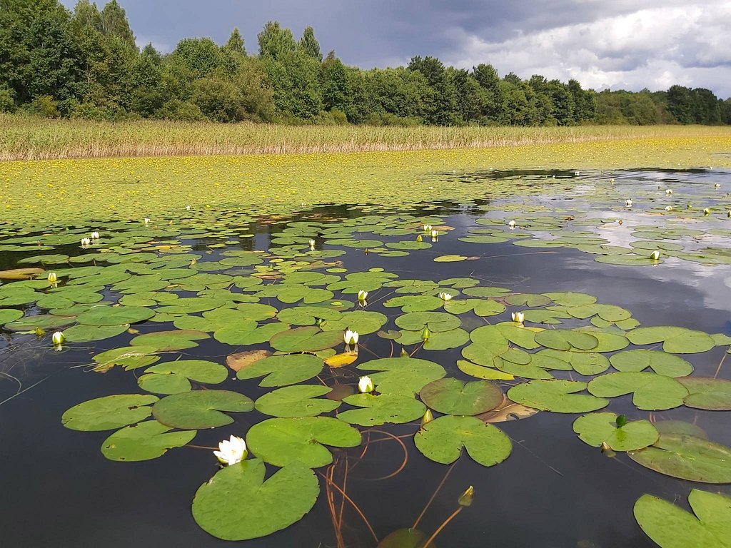 Фото из отзыва от 21.08.2025