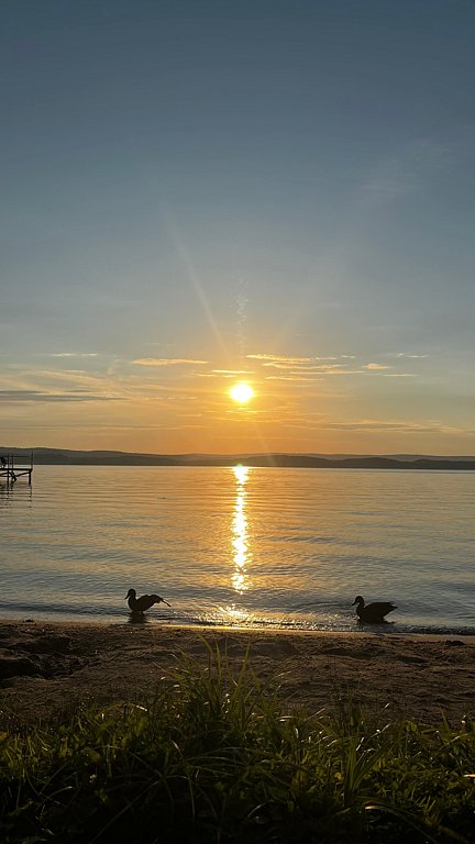 Фото из отзыва от 24.08.2025