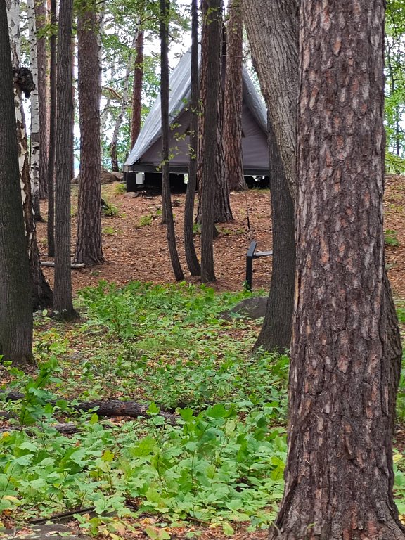 Фото из отзыва от 24.08.2025