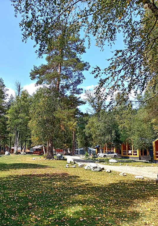 Фото из отзыва от 26.08.2025