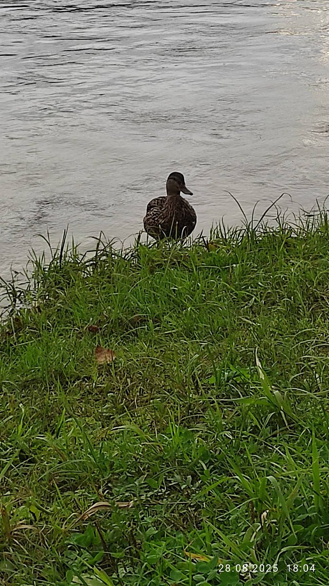 Фото 16 из отзыва о базе отдыха Дух Тайги