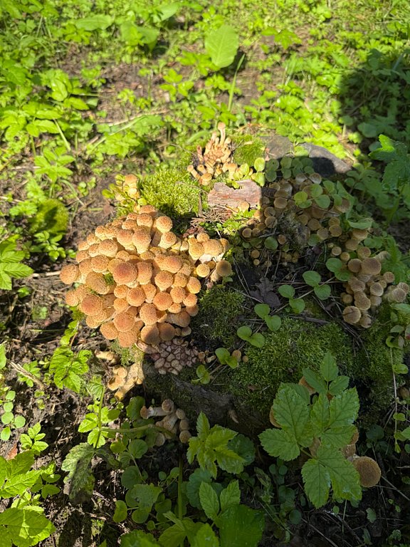 Фото из отзыва от 30.08.2025