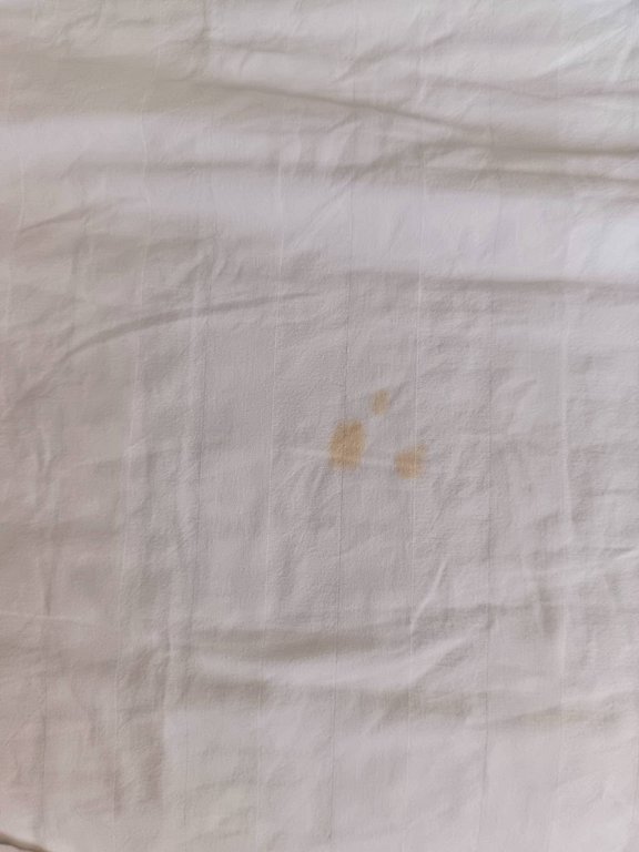 Фото из отзыва от 19.08.2025