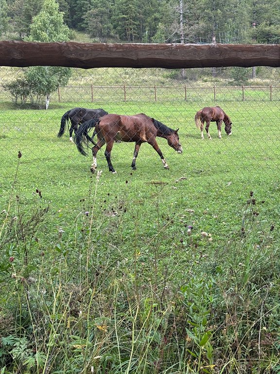 Фото из отзыва от 27.08.2025