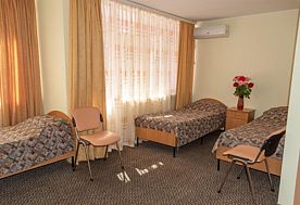 1-мест. (разм. в 2-мест.) станд. с конд., корп. 2, Пансионат Лучезарный, Николаевка