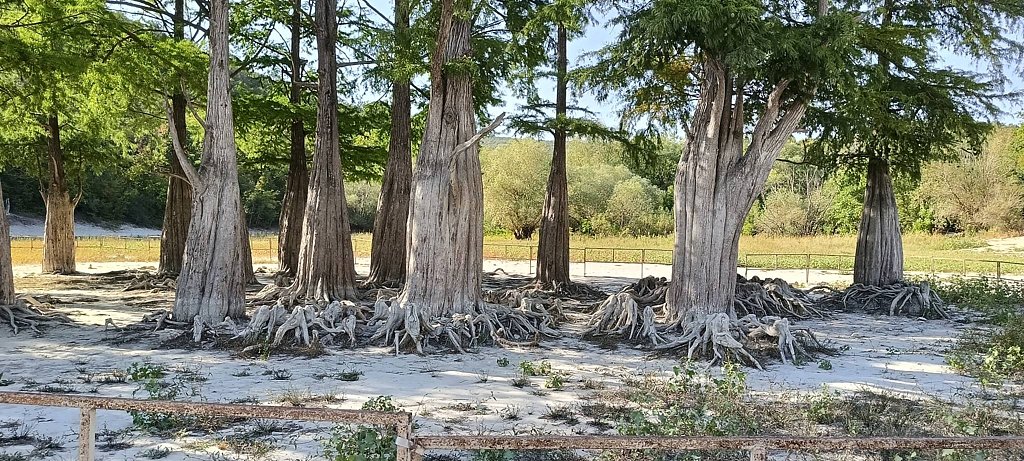 Фото из отзыва от 28.08.2025