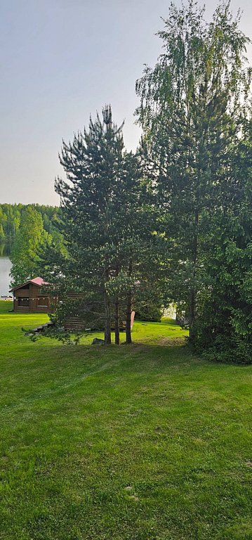 Фото из отзыва от 25.08.2025