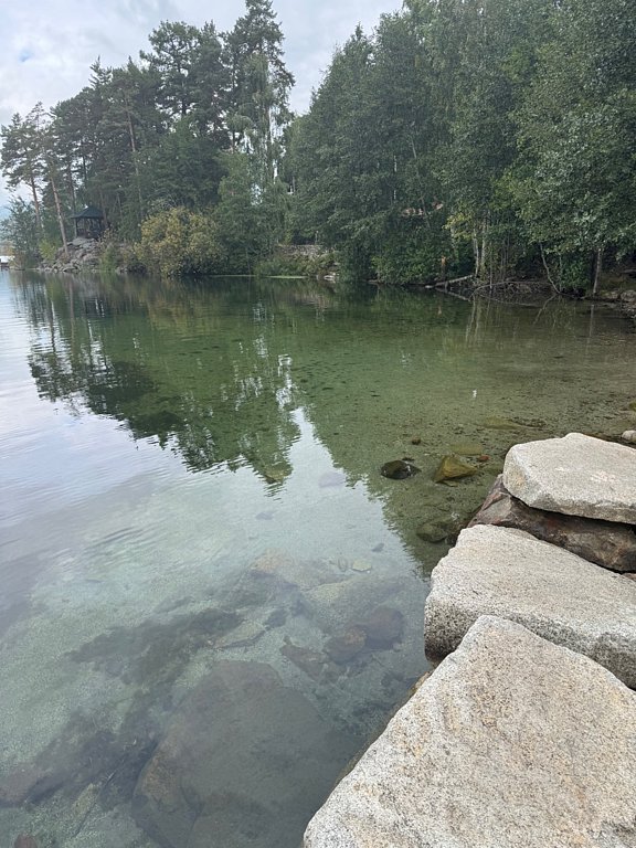 Фото из отзыва от 31.08.2025