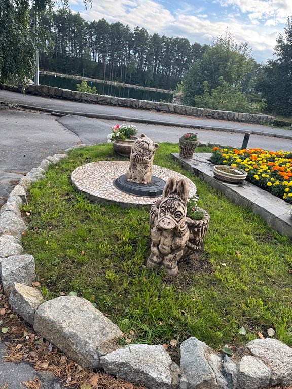 Фото из отзыва от 31.08.2025