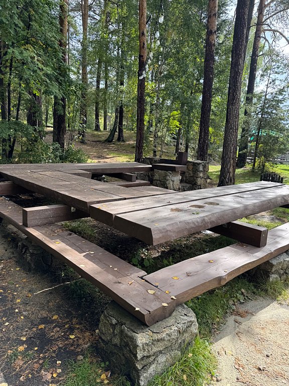 Фото из отзыва от 31.08.2025