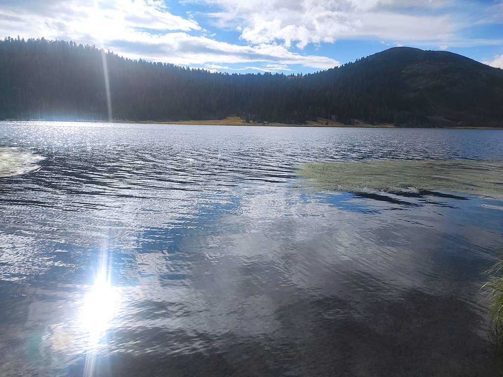 Фото из отзыва от 11.08.2025