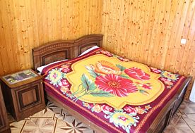 2-мест. станд. с балк. (вид на сад), Гостевой дом Аида, Адлер