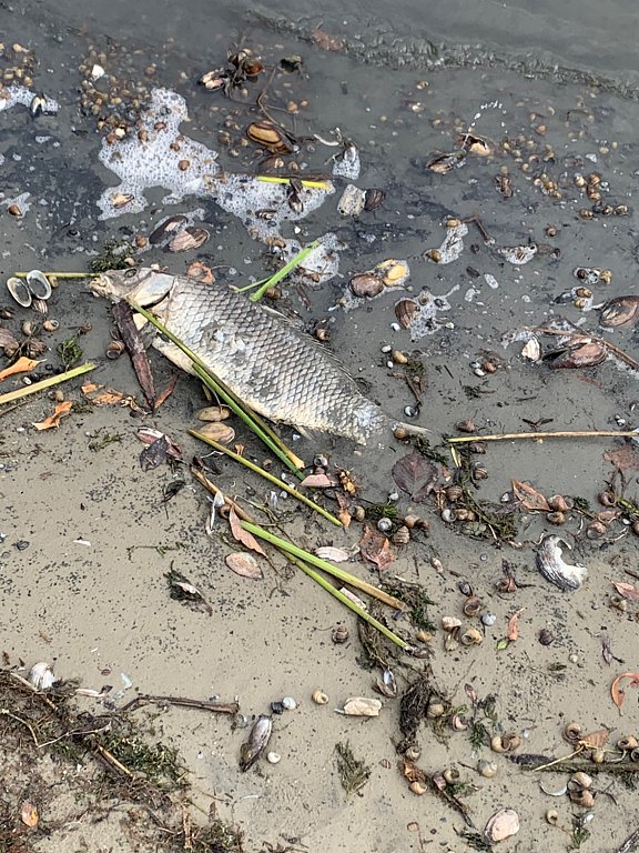 Фото из отзыва от 12.09.2025