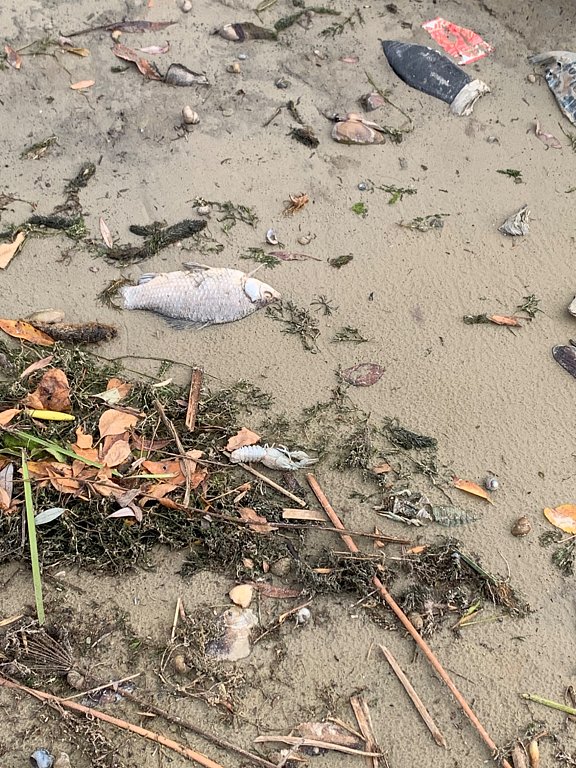 Фото из отзыва от 12.09.2025