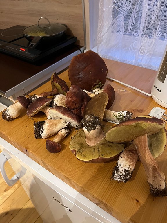 Фото из отзыва от 12.09.2025