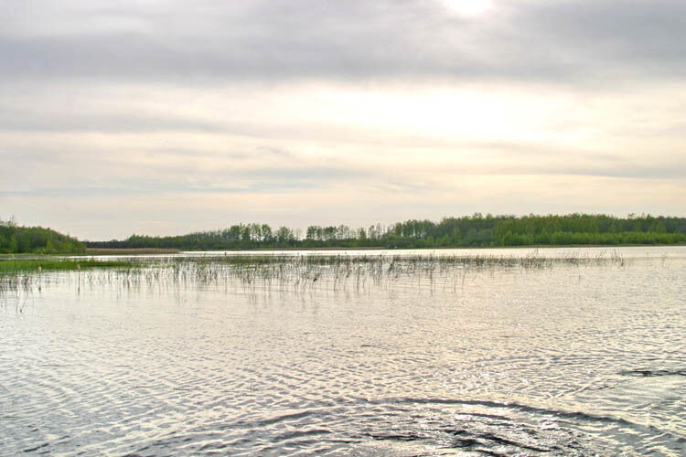 Вид на Щуковское озеро | Рыбачок, Ивановская область