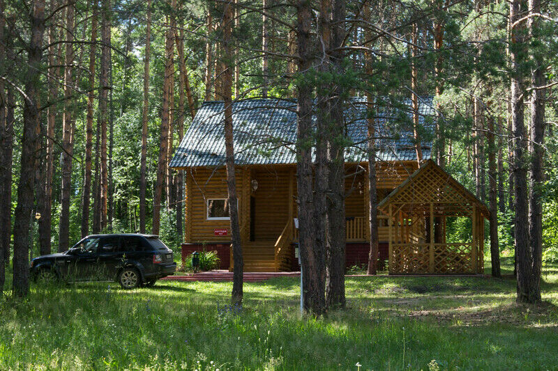 Лагерь сосновый бор пензенская область где находится фото