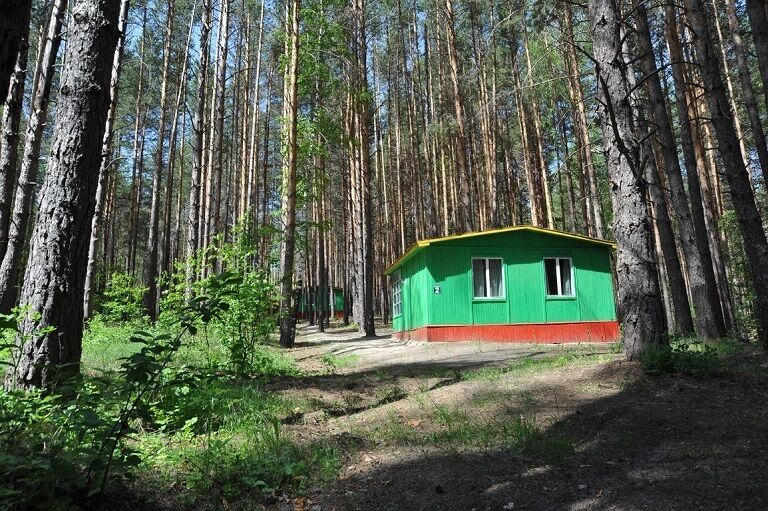 Городская баня сосновый бор ленинградская область фото