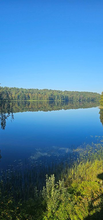 Фото из отзыва от 05.09.2025