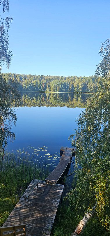 Фото 8 из отзыва о базе отдыха Лесное озеро