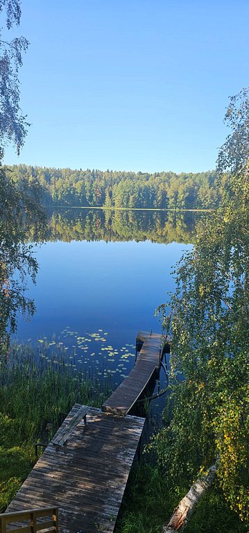 Фото из отзыва от 05.09.2025