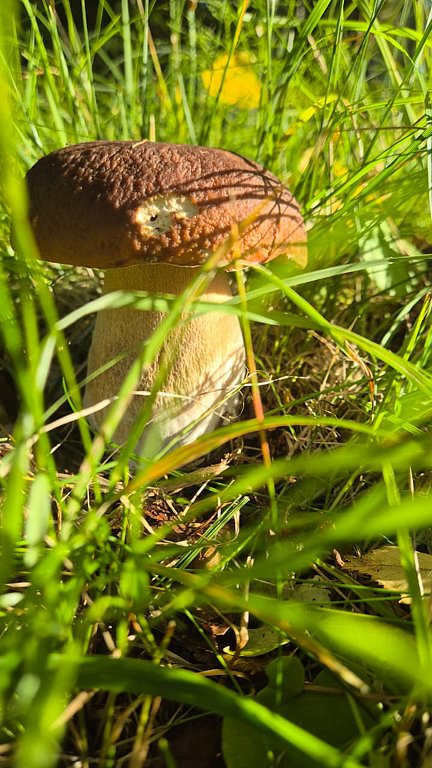 Фото из отзыва от 05.09.2025