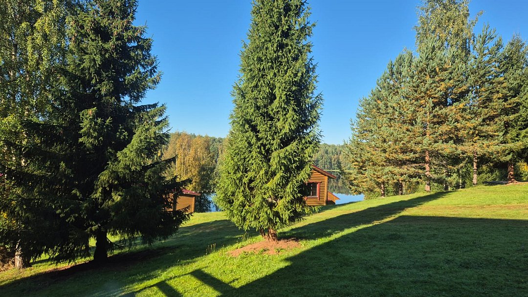 Фото 3 из отзыва о базе отдыха Лесное озеро