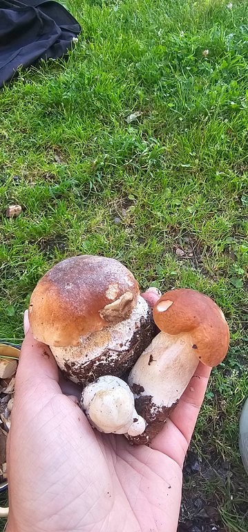 Фото из отзыва от 05.09.2025