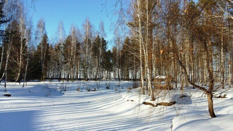 Природа ульяновской области фото