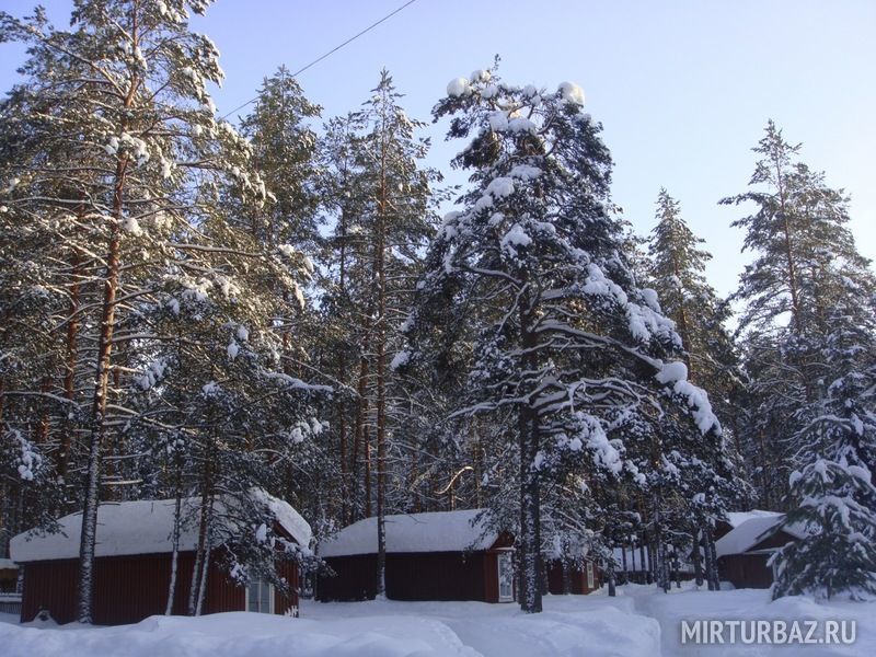 Опаринское озеро лужский район фото