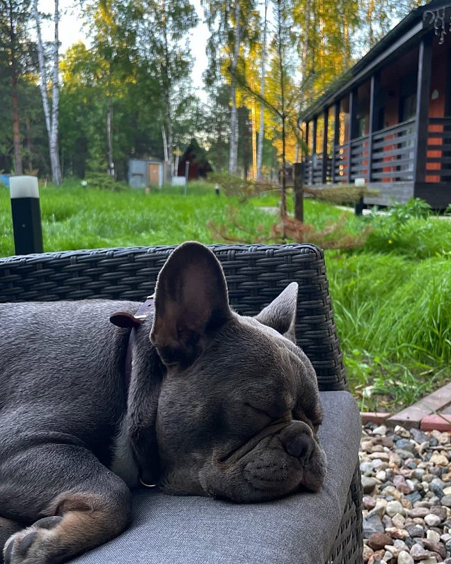 Дом 2-местный 1-комнатный (LATO-65 Sauna)