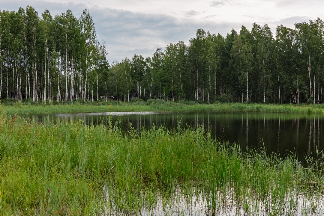 Дом 6-местный 4-комнаный (Glass box 85)