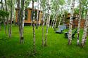 Барнхаус ЭКЛЕТИКА, Гостевой дом My little forest, Дмитровский район