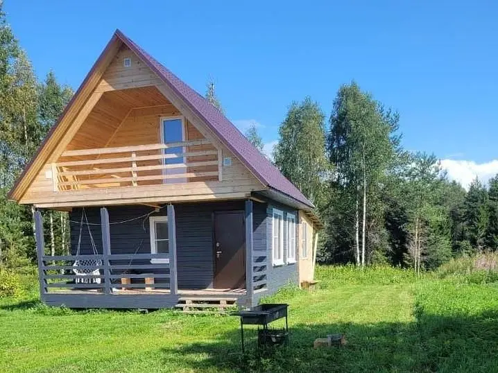 Дом в Верхней Видлице, Олонецкий район, Республика Карелия