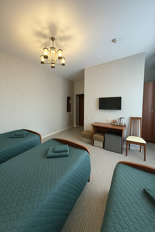 Стандартный 3-местный 1-комнатный