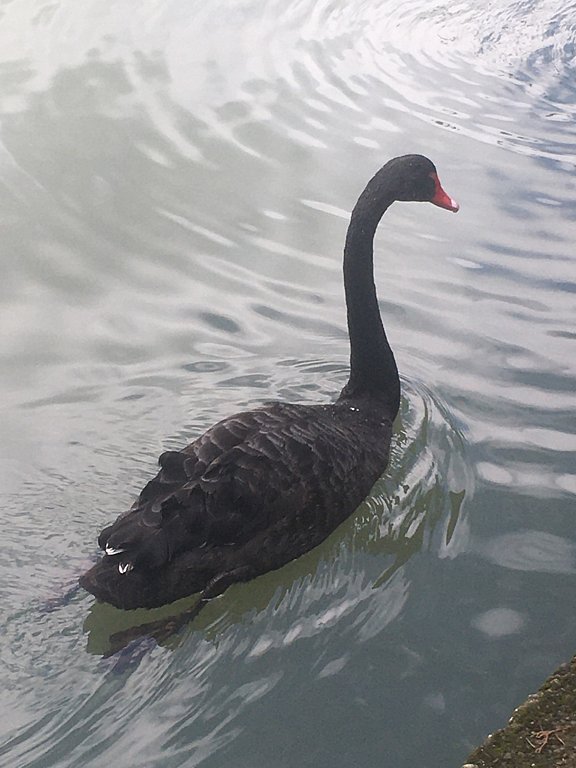 Фото из отзыва от 19.09.2025