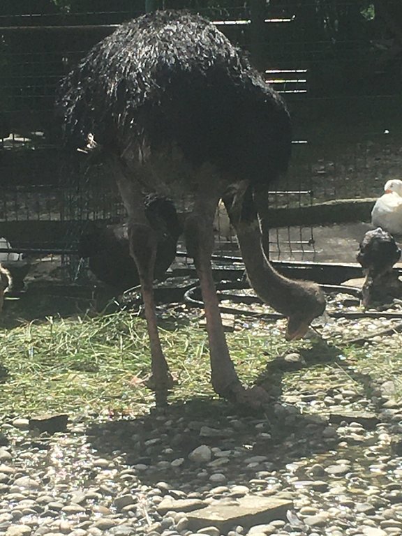 Фото из отзыва от 19.09.2025