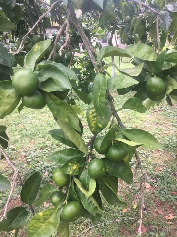 Фото из отзыва от 19.09.2025