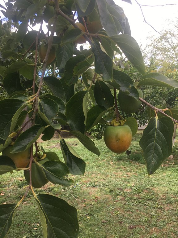 Фото из отзыва от 19.09.2025