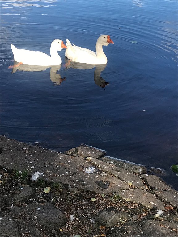 Фото из отзыва от 20.09.2025