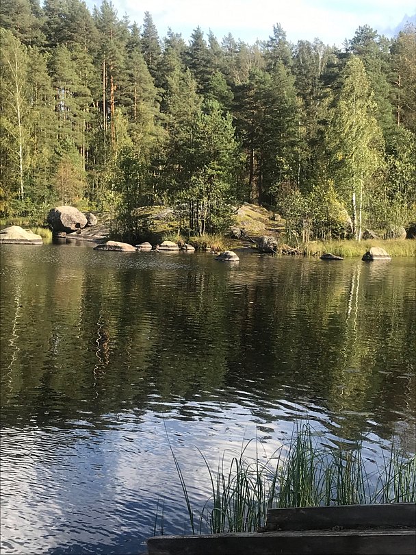 Фото 2 из отзыва о базе отдыха Васильево