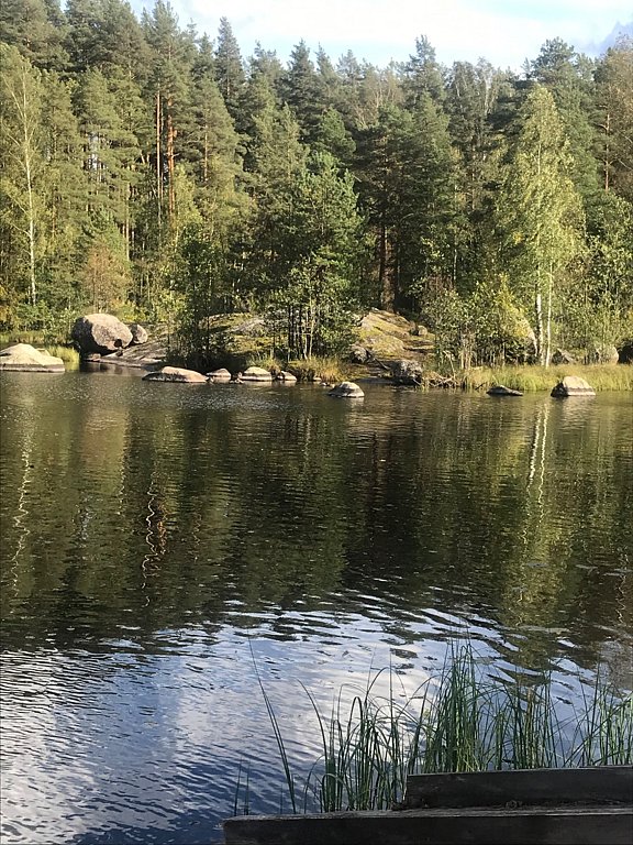 Фото из отзыва от 20.09.2025