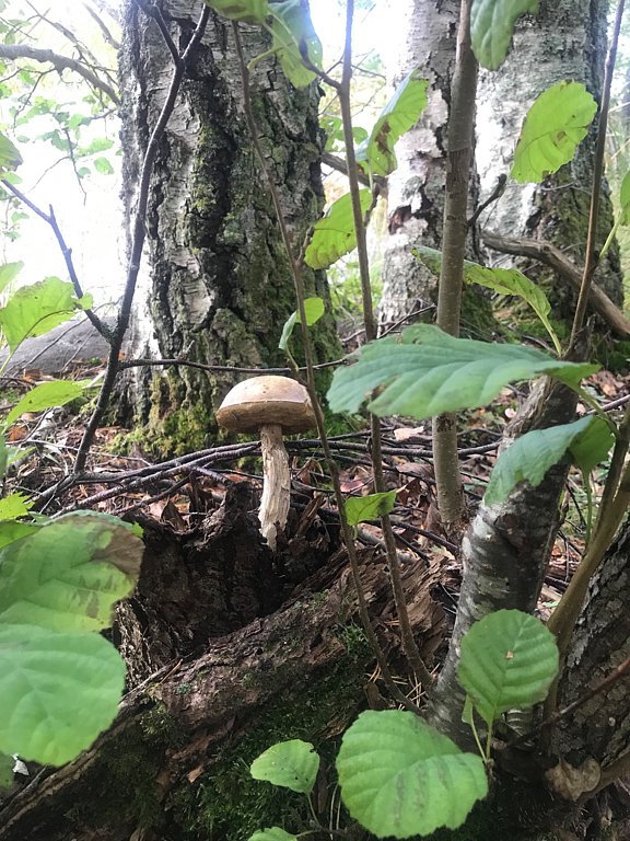 Фото из отзыва от 20.09.2025