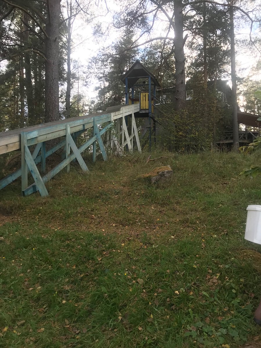 Фото 3 из отзыва о базе отдыха Васильево