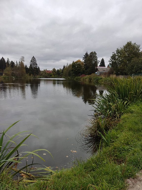 Фото из отзыва от 22.09.2025