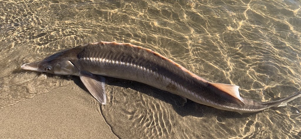 Фото из отзыва от 08.09.2025