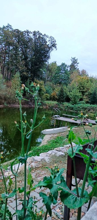 Фото из отзыва от 27.09.2025