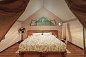 Тент-хаус 4-местный Семейный, Глэмпинг Южный Вайб Древо, Отрадное