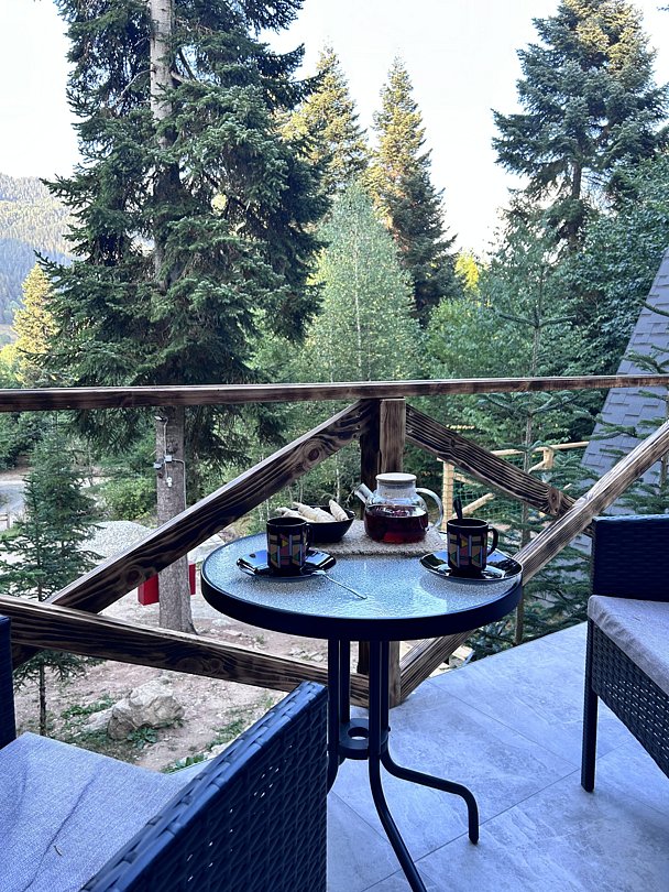 Афрейм 4-местный (2)