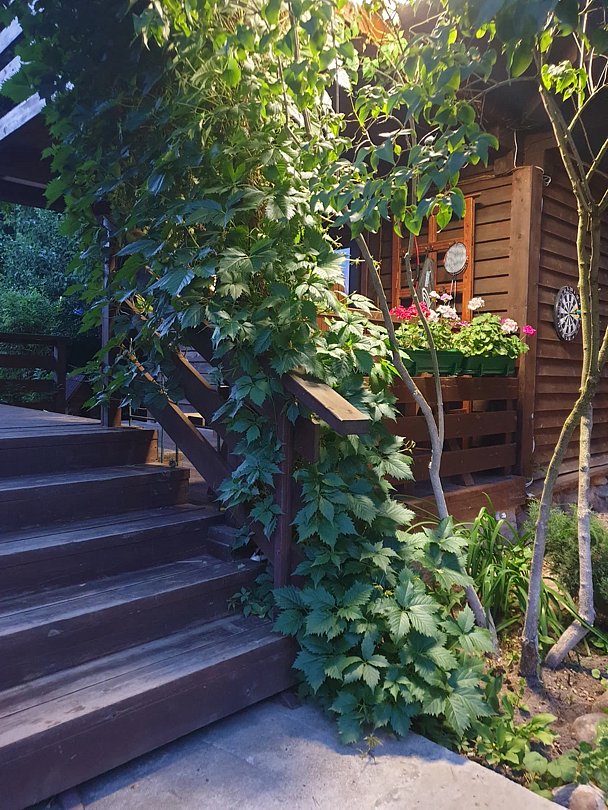 Дом 2-местный 1-комнатный